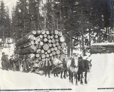 Logging on the Alaska Centrail Railroad near Seward