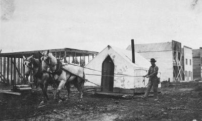 Horses pulling tent